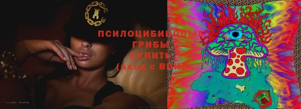 спиды Алексин