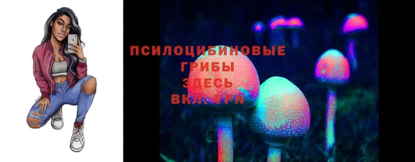 МДМА Осинники