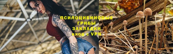 крисы Алзамай