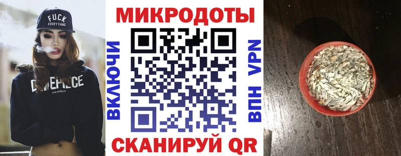 блэк спрут ссылки  Полярные Зори  Псилоцибиновые грибы Psilocybe 